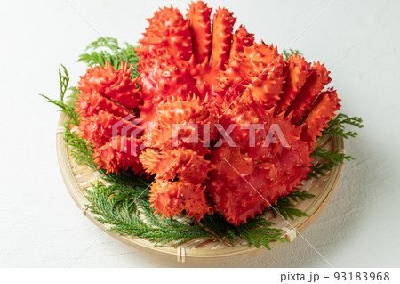 新鮮な花咲ガニ 93183968