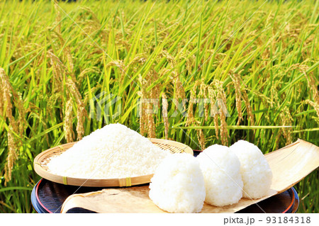 秋の田んぼと新米のおにぎり 秋の田んぼと新米のおにぎり 93184318