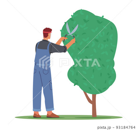 Worker Male Character Trimming Tree in Garden Isolated on white Background. Man Doing Gardener Works Prune Branches 93184764