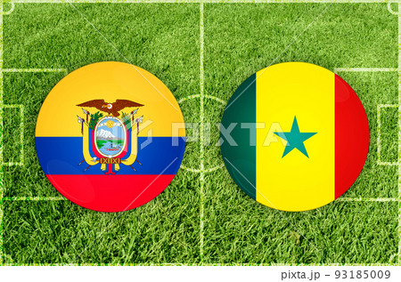 Ecuador vs Senegal football match Ecuador vs Senegal football match 93185009