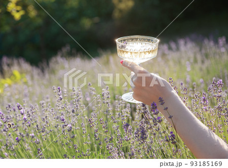 Young woman drink  wine in the sunset lavender field 93185169