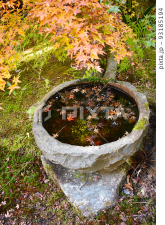 日本庭園の手水鉢と紅葉 日本庭園の手水鉢と紅葉 93185194