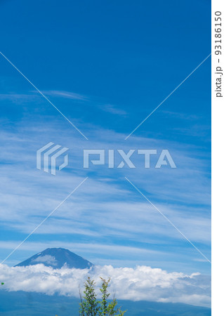 夏の富士山 93186150