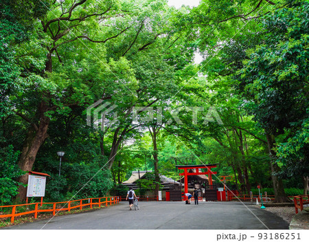 京都　糺の森 93186251
