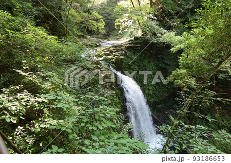 日本の自然：三重県名張市にある赤目48滝の不動滝 93186653