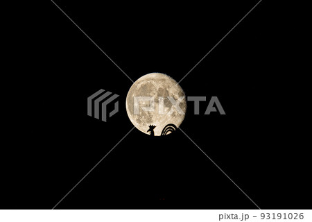 Beautiful full moon over Riga old town with Domes cathedral golden cock visible 93191026