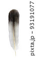 鳥 羽 新しい 93191077