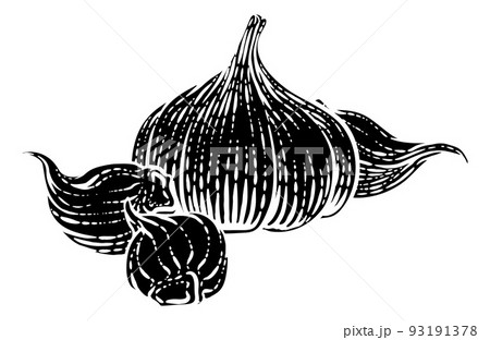 Garlic Vegetable Vintage Woodcut Illustration Garlic Vegetable Vintage Woodcut Illustration 93191378