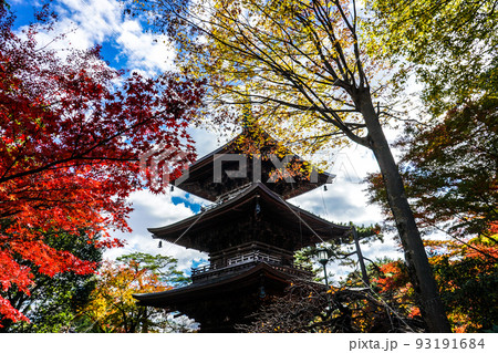 秋の豪徳寺 三重塔を取巻く紅葉(東京都世田谷区) 秋の豪徳寺 三重塔を取巻く紅葉(東京都世田谷区) 93191684