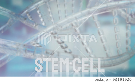 The  stem cell text on dna background for sci or medical concept 3d rendering 93191920