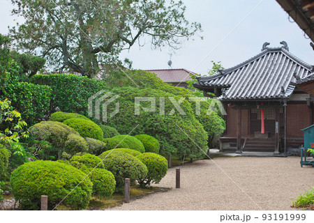 金剛寺_深緑の樹々と伽藍 93191999