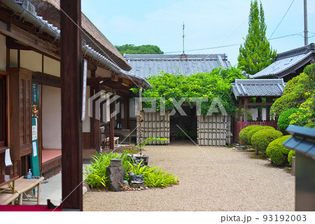 金剛寺_茅葺の庫裡と藤棚 金剛寺_茅葺の庫裡と藤棚 93192003