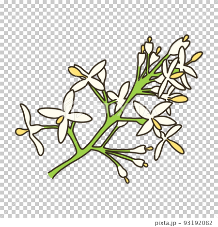 Cimmetnelico 93192082