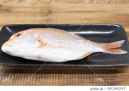 連子鯛（キダイ） 93194247