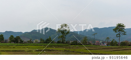 ネパール　ポカラ近郊の田園風景 93195646