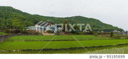 ネパール ポカラ近郊の民家と田舎の風景 ネパール ポカラ近郊の民家と田舎の風景 93195699