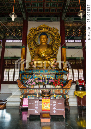 ネパール 仏陀の生誕地ルンビニのルンビニ・ガーデン内にある中華寺の寺院内 ネパール 仏陀の生誕地ルンビニのルンビニ・ガーデン内にある中華寺の寺院内 93195857