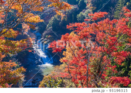 (千葉県)房総養老渓谷 紅葉期の粟又の滝 (千葉県)房総養老渓谷 紅葉期の粟又の滝 93196315