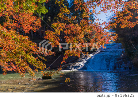 （千葉県）房総養老渓谷　紅葉期の粟又の滝 93196325