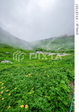 長野県中央アルプスの木曽駒ヶ岳 93197307