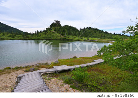 【群馬県】志賀草津道路 弓池園地 風景 【群馬県】志賀草津道路 弓池園地 風景 93198360