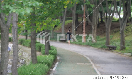 毎分 律動公園 夏 93199075