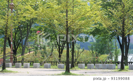 毎分 律動公園 夏 93199088