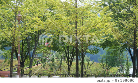 毎分 律動公園 夏 93199090