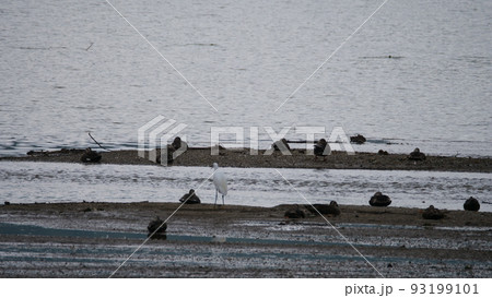 毎分 律動公園 夏 93199101