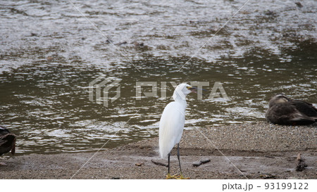 毎分 律動公園 夏 93199122