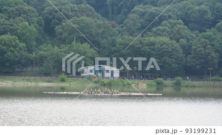 毎分 律動公園 湖公園 93199231