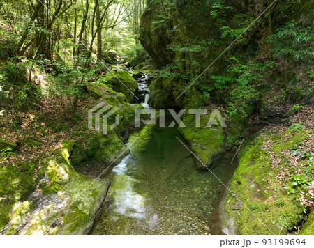 愛媛県砥部町 仙波渓谷の風景 愛媛県砥部町 仙波渓谷の風景 93199694
