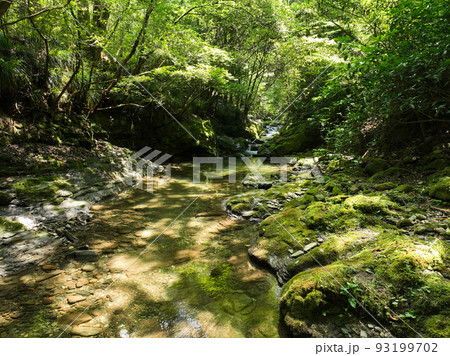 愛媛県砥部町　仙波渓谷の風景 93199702