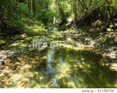 愛媛県砥部町　仙波渓谷の風景 93199708