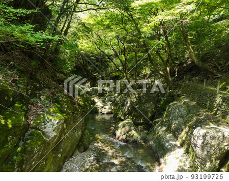 愛媛県砥部町　仙波渓谷の風景 93199726