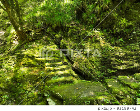 愛媛県砥部町　仙波渓谷の風景 93199742