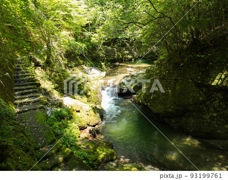 愛媛県砥部町 仙波渓谷の風景 愛媛県砥部町 仙波渓谷の風景 93199761