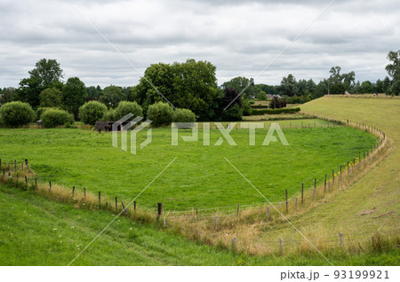 Green hills and meadows at the wetlands in the natural flood zone around Passewaaij Green hills and meadows at the wetlands in the natural flood zone around Passewaaij 93199921