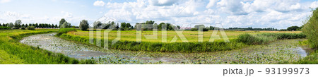 Panoramic view over the green wetlands around the River IJssel, Hattem, The Netherlands 93199973