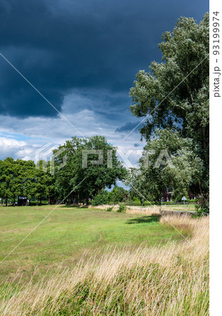 Zwolle, Overijssel, The Netherlands,  Grass, trees and dark blue clouds at the nature reserve around the River Ijssel 93199974