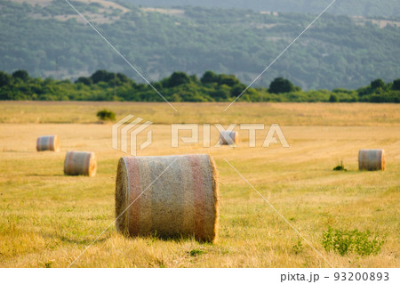 Rural landscape with bales of wheat straw against blurry green mountains at sunlight. Countryside scenery with bales scattered on field Rural landscape with bales of wheat straw against blurry green mountains at sunlight. Countryside scenery with bales scattered on field 93200893