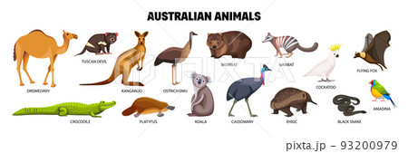 Australian Animals Set 93200979