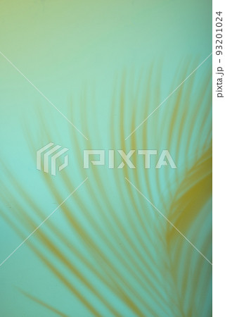 Tropical leaves in neon light with duotone shadows 93201024