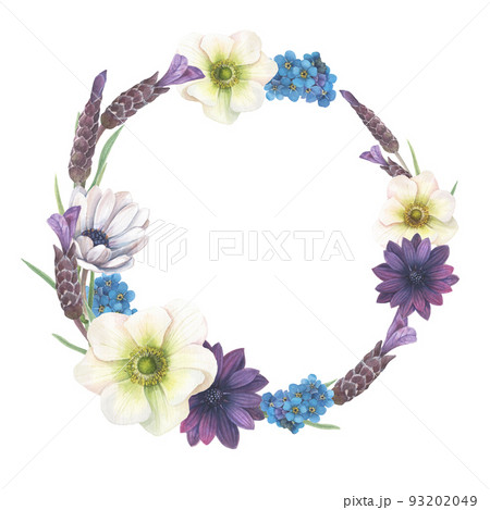 Floral arrangements of colorful anemones, forget-me-nots, lavender painted in watercolor. 93202049