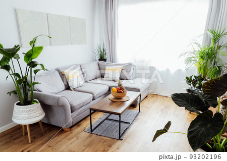 Stylish and modern scandinavian interior of open space living room with bamboo bowl with fruits on the coffee table, gray couch sofa, and many green plants. Biophilia. Open space home interior design Stylish and modern scandinavian interior of open space living room with bamboo bowl with fruits on the coffee table, gray couch sofa, and many green plants. Biophilia. Open space home interior design 93202196