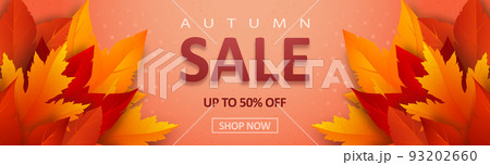 Autumn sale banner with leaves and advertising discount text decoration 93202660