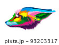 Abstract fennec fox head portrait, sand fox from multicolored paints. Colored drawing 93203317