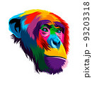 Abstract monkey chimpanzee head portrait from multicolored paints. Colored drawing 93203318