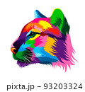 Abstract puma, cougar head portrait from multicolored paints. Colored drawing 93203324