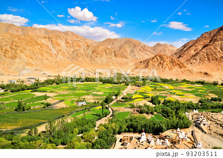 インド最北の秘境、ラダック地方の村・チェムレ インド最北の秘境、ラダック地方の村・チェムレ 93203511